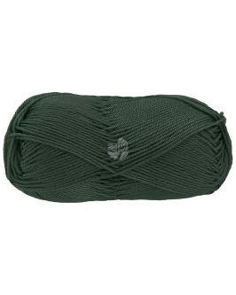 <span class="yarn-title">Cotone Uni</span> <span class="yarn-color">137 Jägergrün</span>