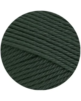 <span class="yarn-title">Cotone Uni</span> <span class="yarn-color">137 Jägergrün</span>