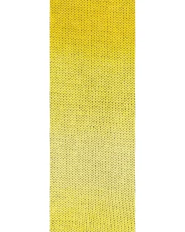 <span class="yarn-title">Gomitolo Tono</span> <span class="yarn-color">1031 Gelb/<wbr>Zitrusgelb/<wbr>Vanille</span>