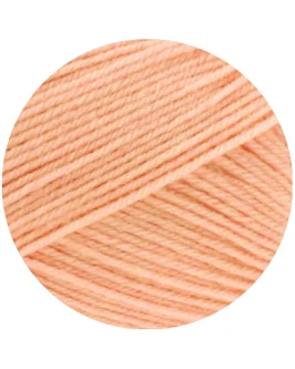 <span class="yarn-title">Meilenweit 100 Merino Extrafine Uni</span> <span class="yarn-color">2458 Apricot</span>