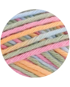 <span class="yarn-title">Star Print</span> <span class="yarn-color">363 Lichtblau/<wbr>Rosa/<wbr>Mint/<wbr>Pastellgelb</span>