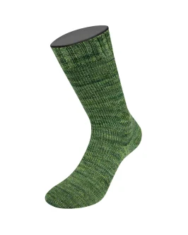 <span class="yarn-title">Vintage Socks</span> <span class="yarn-color">1016 Hell-/<wbr>Moos-/<wbr>Graugrün Meliert</span>