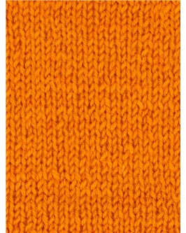 <span class="yarn-title">Signature 4-Fach</span> <span class="yarn-color">1004 Amber</span>