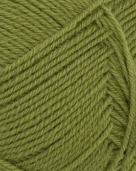 <span class="yarn-title">PetiteKnit Sunday</span> <span class="yarn-color">9564 Matcha</span>