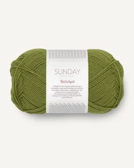 <span class="yarn-title">PetiteKnit Sunday</span> <span class="yarn-color">9564 Matcha</span>