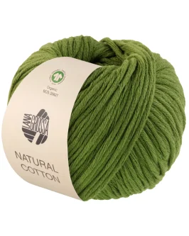<span class="yarn-title">Natural Cotton GOTS</span> <span class="yarn-color">3 Grün</span>