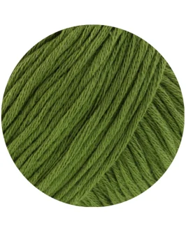 <span class="yarn-title">Natural Cotton GOTS</span> <span class="yarn-color">3 Grün</span>