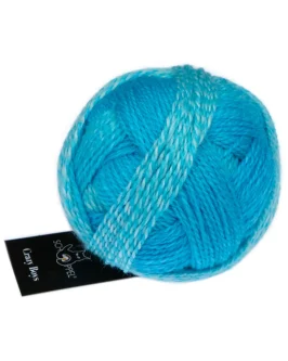<span class="yarn-title">Crazy Boys</span> <span class="yarn-color">2696 Ludwig</span>