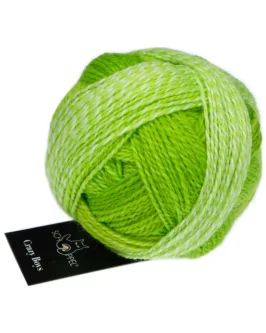 <span class="yarn-title">Crazy Boys</span> <span class="yarn-color">2697 Kurt Georg</span>