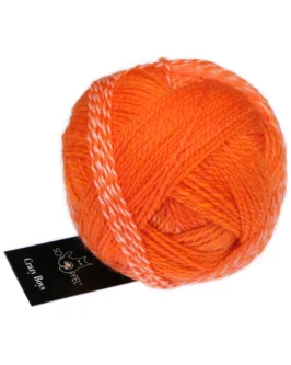 <span class="yarn-title">Crazy Boys</span> <span class="yarn-color">2699 Helmut</span>
