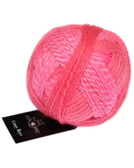 <span class="yarn-title">Crazy Boys</span> <span class="yarn-color">2701 Willy</span>