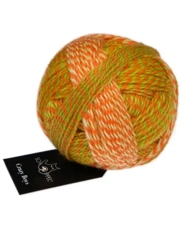 <span class="yarn-title">Crazy Boys</span> <span class="yarn-color">2706 Olaf</span>