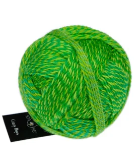 <span class="yarn-title">Crazy Boys</span> <span class="yarn-color">2707 Frank Walter</span>