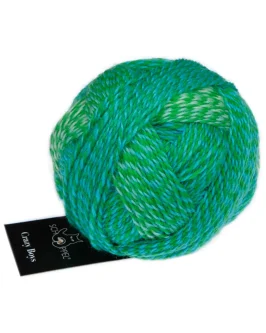 <span class="yarn-title">Crazy Boys</span> <span class="yarn-color">2708 Joachim</span>