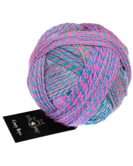 <span class="yarn-title">Crazy Boys</span> <span class="yarn-color">2709 Christian</span>