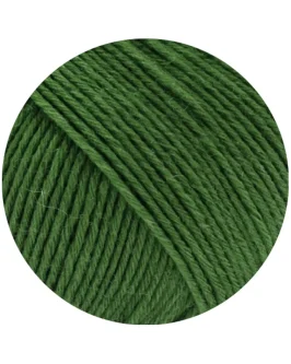 <span class="yarn-title">Alpina Landhauswolle</span> <span class="yarn-color">79 Grün</span>