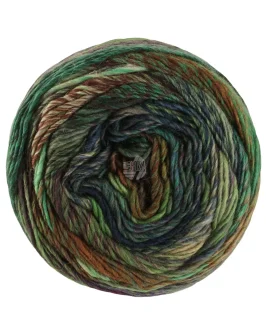 <span class="yarn-title">Colorissimo</span> <span class="yarn-color">216 Hellgrün/<wbr>Grün/<wbr>Petrol/<wbr>Dunkelpetrol/<wbr>Rot-/<wbr>Schokobraun/<wbr>Brugund/<wbr>Grau</span>