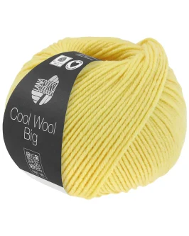 <span class="yarn-title">Cool Wool Big Uni</span> <span class="yarn-color">1028 Grüngelb</span>