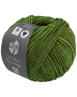 <span class="yarn-title">Cool Wool Big Vintage</span> <span class="yarn-color">7192 Grasgrün</span>