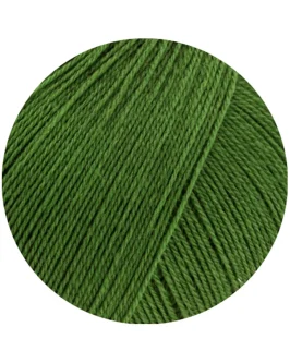 <span class="yarn-title">Cool Wool Lace</span> <span class="yarn-color">64 Grün</span>