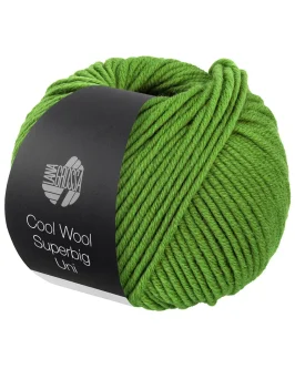 <span class="yarn-title">Cool Wool Superbig Uni</span> <span class="yarn-color">25 Maigrün</span>