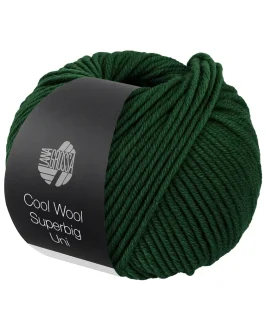 <span class="yarn-title">Cool Wool Superbig Uni</span> <span class="yarn-color">28 Flaschengrün</span>