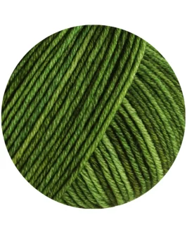 <span class="yarn-title">Cool Wool Vintage</span> <span class="yarn-color">7392 Grasgrün</span>