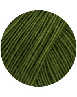 <span class="yarn-title">Ecopuno</span> <span class="yarn-color">221 Grasgrün</span>