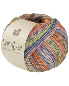<span class="yarn-title">Landlust die Sockenwolle Seide</span> <span class="yarn-color">336 Lachs/<wbr>Orange/<wbr>Grau/<wbr>Mint/<wbr>Rosa/<wbr>Zitrusgelb/<wbr>Graublau Gestreift</span>