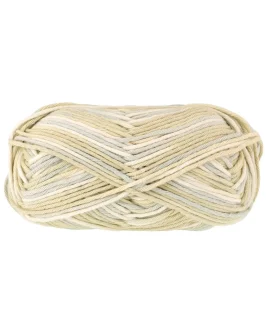 <span class="yarn-title">Star Print</span> <span class="yarn-color">358 Rohweiß/<wbr>Silbergrau/<wbr>Creme/<wbr>Hellbeige</span>