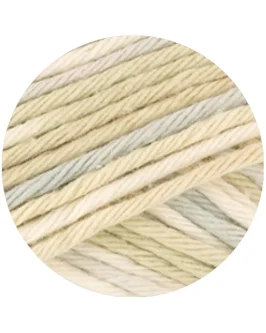 <span class="yarn-title">Star Print</span> <span class="yarn-color">358 Rohweiß/<wbr>Silbergrau/<wbr>Creme/<wbr>Hellbeige</span>