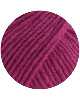 <span class="yarn-title">Cashmere Kiss</span> <span class="yarn-color">120 Fuchsia</span>