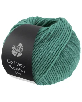 <span class="yarn-title">Cool Wool Superbig Uni</span> <span class="yarn-color">30 Helles Seegrün</span>