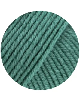 <span class="yarn-title">Cool Wool Superbig Uni</span> <span class="yarn-color">30 Helles Seegrün</span>