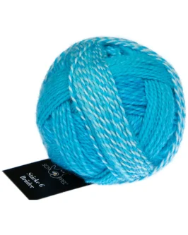 <span class="yarn-title">Stärke 6 Brüder</span> <span class="yarn-color">2696 Ludwig</span>