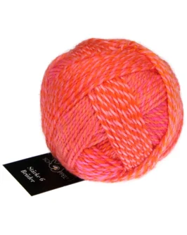 <span class="yarn-title">Stärke 6 Brüder</span> <span class="yarn-color">2705 Gerhard</span>