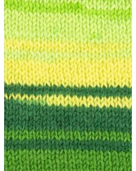 <span class="yarn-title">Signature 4-Fach Winwick&nbsp;Mum</span> <span class="yarn-color">882 Spring Green</span>