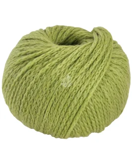<span class="yarn-title">Cool Merino Big</span> <span class="yarn-color">237 Gelbgrün</span>