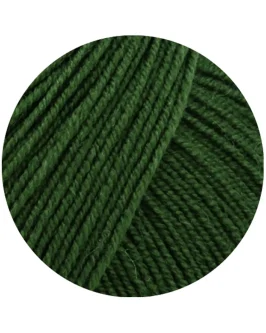 <span class="yarn-title">Cool Wool Baby Uni</span> <span class="yarn-color">336 Dunkelgrün</span>