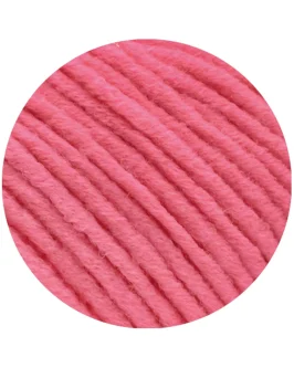 <span class="yarn-title">Mille II</span> <span class="yarn-color">169 Bonbonrosa</span>