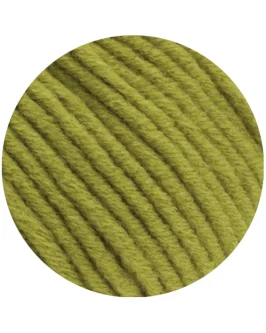 <span class="yarn-title">Mille II</span> <span class="yarn-color">173 Pistazie</span>