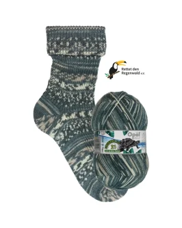 <span class="yarn-title">Opal Regenwald 21 – auf großer Fahrt 4‑fach</span> <span class="yarn-color">11604 Kapitänin Schildi</span>