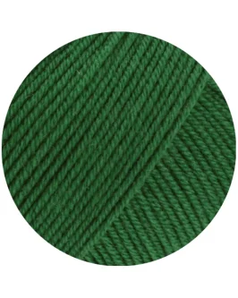<span class="yarn-title">Merino Superiore</span> <span class="yarn-color">43 Opalgrün</span>