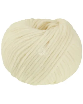 <span class="yarn-title">Winter Softness</span> <span class="yarn-color">1 Ecru</span>