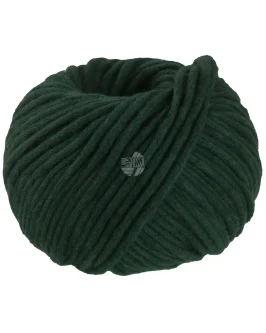 <span class="yarn-title">Winter Softness</span> <span class="yarn-color">5 Dunkelgrün</span>