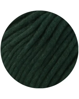 <span class="yarn-title">Winter Softness</span> <span class="yarn-color">5 Dunkelgrün</span>
