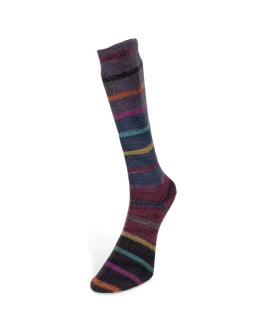 <span class="yarn-title">Indulgence Socks</span> <span class="yarn-color">5 Graublau/<wbr>Anthrazit/<wbr>Senf/<wbr>Orange/<wbr>Pink</span>