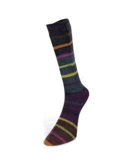 <span class="yarn-title">Indulgence Socks</span> <span class="yarn-color">8 Grau/<wbr>Anthrazit/<wbr>Beere/<wbr>Gelb/<wbr>Orange/<wbr>Grün</span>