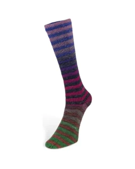 <span class="yarn-title">Paint Socks 6-Fach</span> <span class="yarn-color">4 Blau/<wbr>Pink/<wbr>Grün/<wbr>Anthrazit/<wbr>Braun</span>