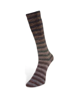 <span class="yarn-title">Paint Socks 6-Fach</span> <span class="yarn-color">5 Braun/<wbr>Beige/<wbr>Anthrazit</span>